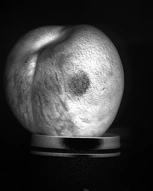 Fruit captured with NIT's SWIR camera