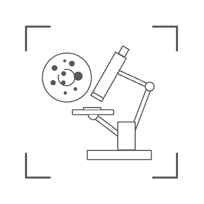 microscopy
